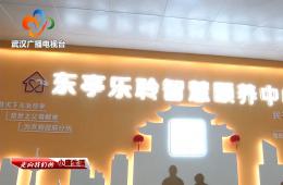 中宣部采访团到访武汉东亭社区尊龙凯时智慧保养中心